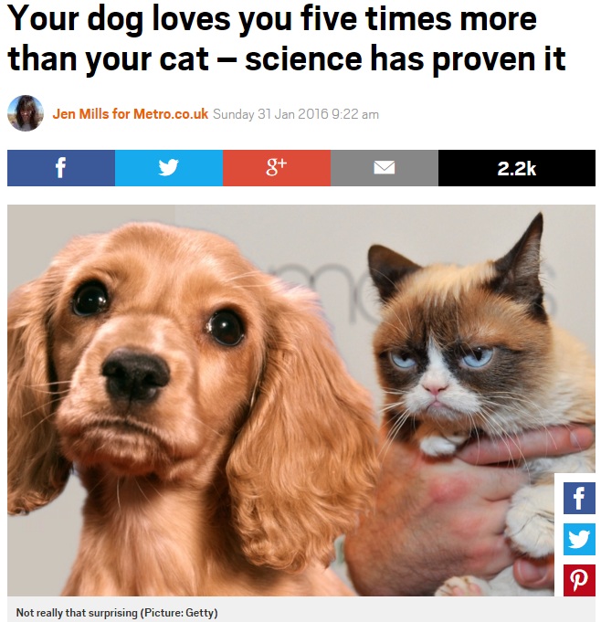 【海外発！Breaking News】飼い主との絆を強く感じているのは…やはり猫より犬　科学的に証明