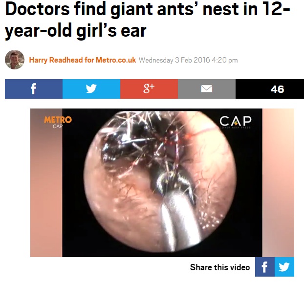 【海外発！Breaking News】巨大な蟻がゾロゾロと　少女の耳に巣くう（印）