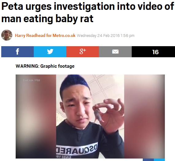 【海外発！Breaking News】赤ちゃんネズミを少年がガブリッ！　動物愛護団体「当局は彼を監視すべき」