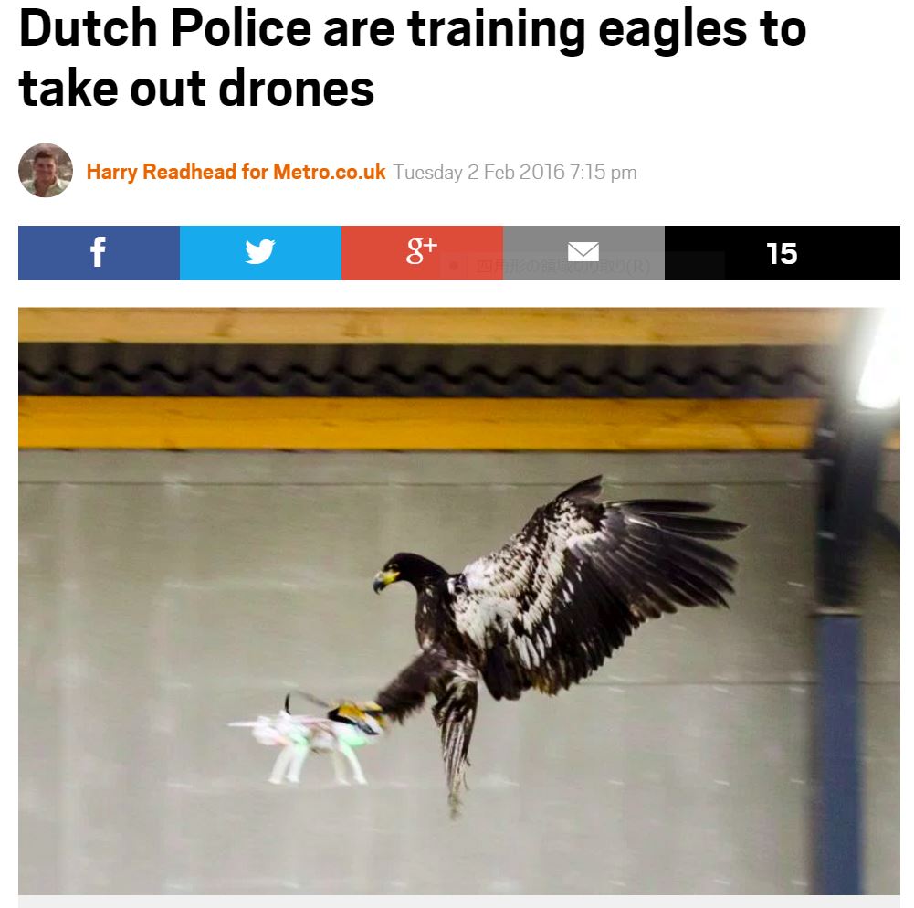 【海外発！Breaking News】不審なドローン捕獲のため　オランダ警察がワシを特訓中！