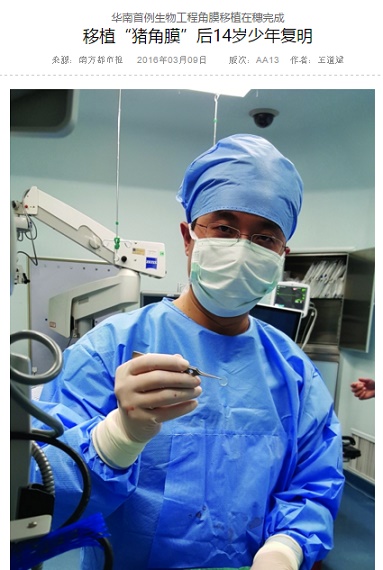 【海外発！Breaking News】ブタの角膜で移植手術が成功　「視力0.6まで回復しそう」と医師団（中国）