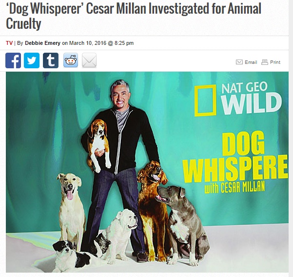 カリスマドッグトレーナーのシーザー・ミラン、動物虐待容疑で調査が入る（出典：http://www.thewrap.com）