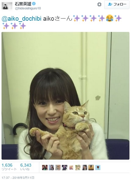 深キョンと猫のA5（出典：https://twitter.com/hideoishiguro10）