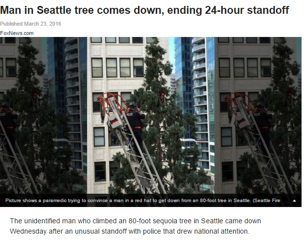 シアトルで男が高い木に登る騒動（出典：http://www.foxnews.com）