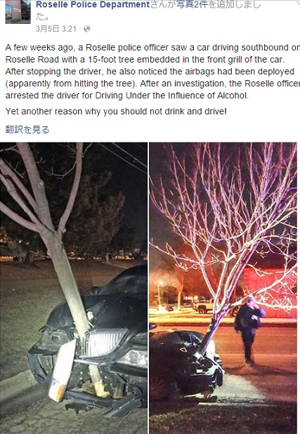 【海外発！Breaking News】フロントグリルに大木が刺さったまま走行　仰天の泥酔ドライバー！（米）