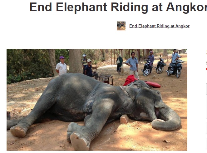 【海外発！Breaking News】観光客乗せて15年　50歳の象が過労死（カンボジア）
