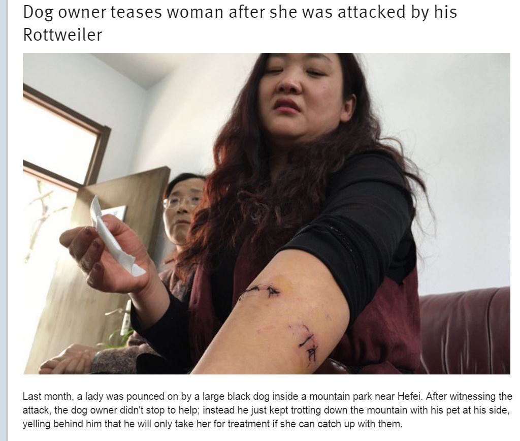 散歩中、ロットワイラー犬に襲われた女性（出典：http://shanghaiist.com）