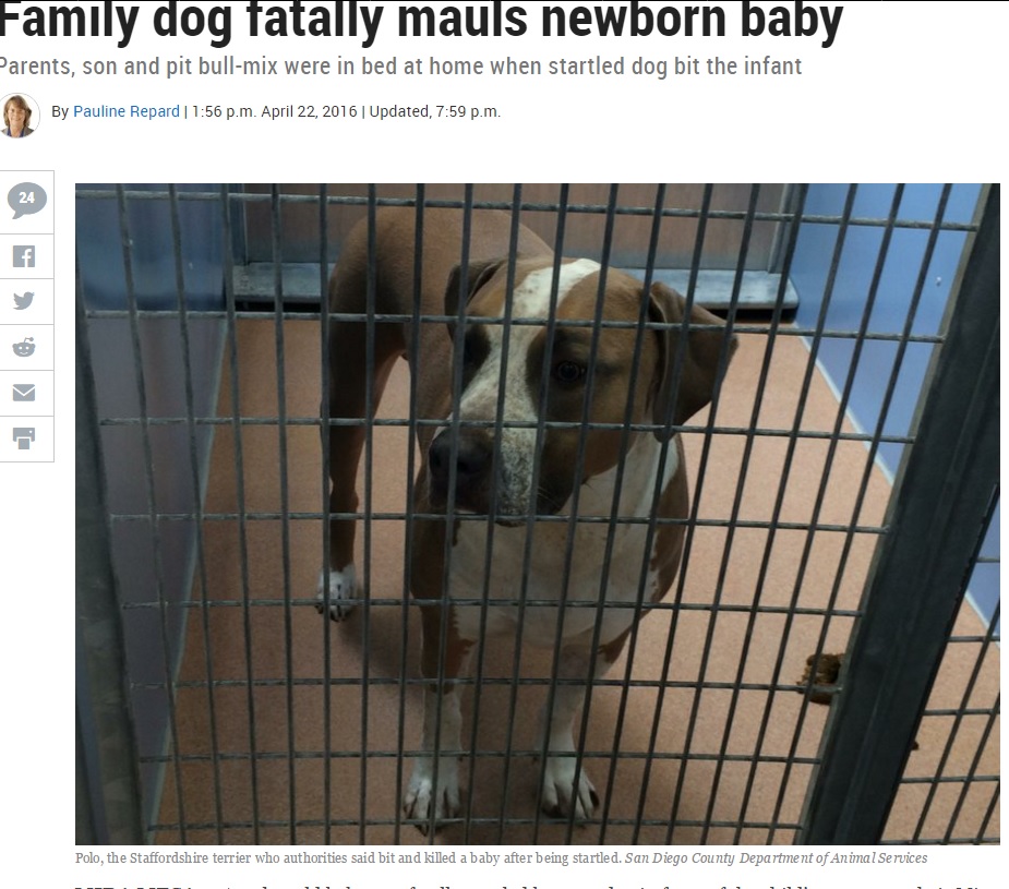 【海外発！Breaking News】生後3日の赤ちゃん、飼い犬に噛み殺される（米）