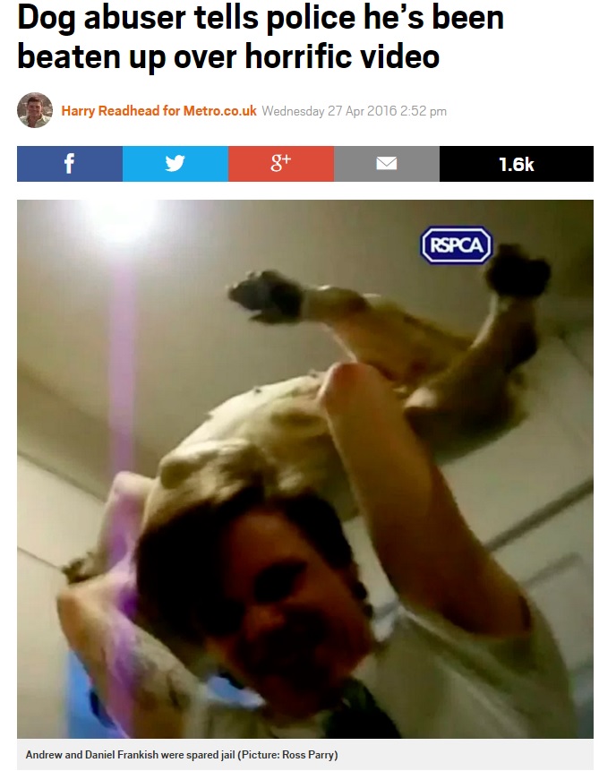飼い犬を虐待、その行為をビデオに撮影（出典：http://metro.co.uk）