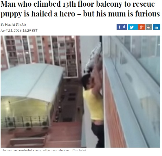 【海外発！Breaking News】犬を救え！　13階外壁で「勇気ありすぎ」な救出シーン（コロンビア）