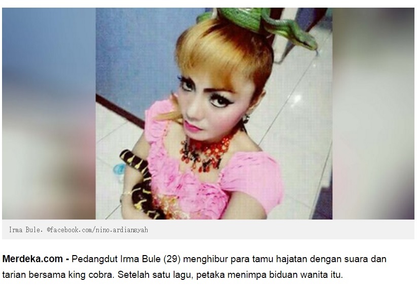 【海外発！Breaking News】ステージで毒蛇に噛まれた女性歌手、解毒剤を断り死亡（インドネシア）