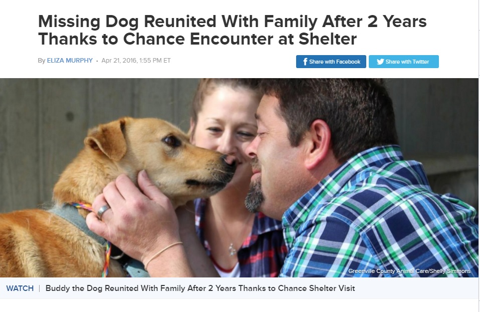 【海外発！Breaking News】2年間探し続けた愛犬、シェルターで奇跡の再会（米）