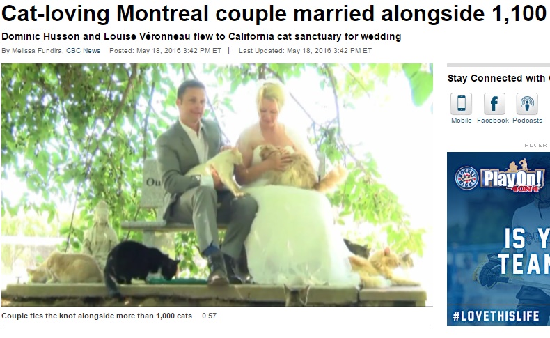 “猫前”結婚式でハッピーなモントリオールのカップル（出典：http://www.cbc.ca）