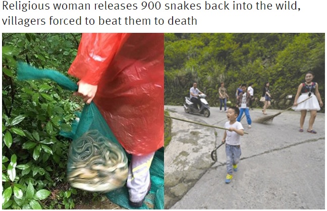 放たれたヘビと村民たち（出典：http://shanghaiist.com）