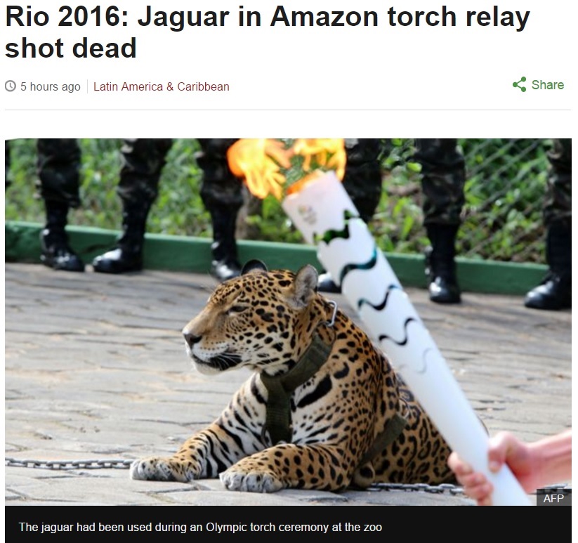 【海外発！Breaking News】リオ五輪　聖火リレー式典に参加したジャガーを射殺（ブラジル）