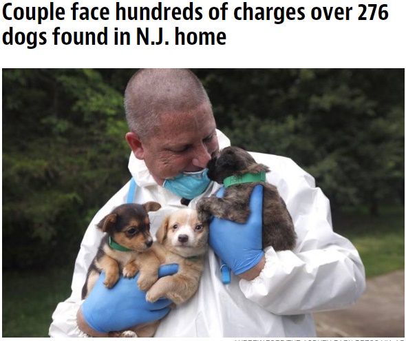 【海外発！Breaking News】飼えるわけもないのに276匹　大量の犬を“所有”していた夫婦を摘発（米）