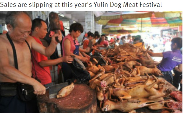 【海外発！Breaking News】中国「犬肉祭」始まる　今年は売り上げ低調か
