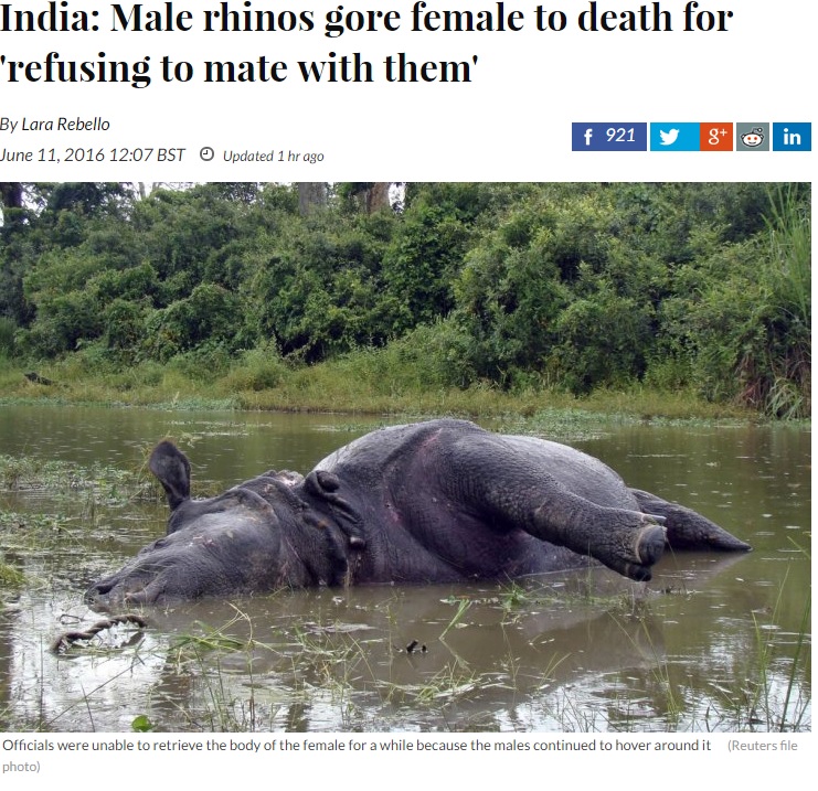 交尾を拒否して命を奪われた雌のサイ（出典：http://www.ibtimes.co.uk）