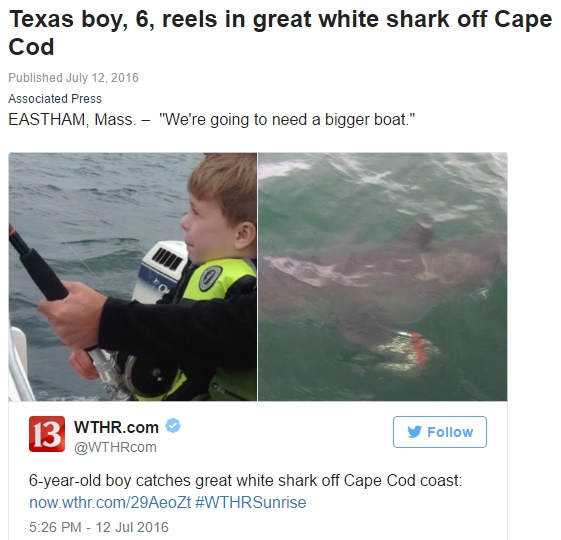 【海外発！Breaking News】6歳児の釣り竿にホホジロザメ！　マサチューセッツ州ケープコッド沖で