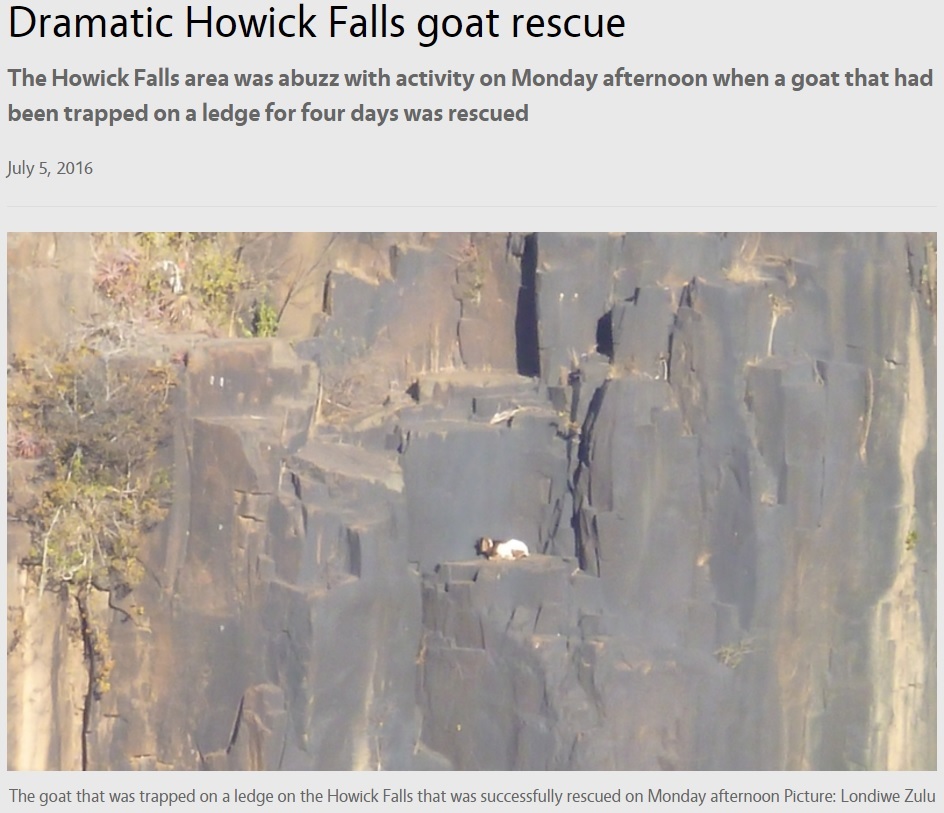 【海外発！Breaking News】ズールー族の“聖地”　断崖絶壁で身動きが取れなくなったヤギ、4日後に無事救出（南ア）