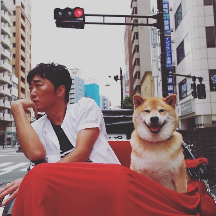 【エンタがビタミン♪】“セカオザ”小沢一敬、大人気の柴犬“まる”と浅草で人力車デート