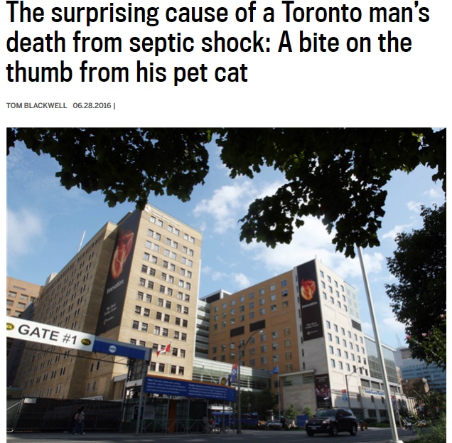 男性、ペットの猫に噛まれた後に死亡（出典：http://www.vancouversun.com）