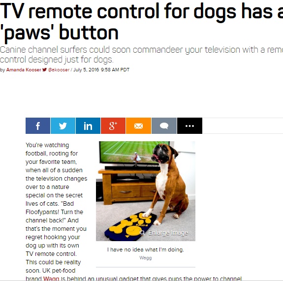 世界初、犬向けのTVリモコンが誕生（出典：http://www.cnet.com）