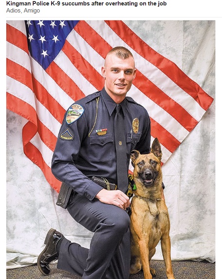 アリゾナ州で優秀な警察犬が熱中症で死亡（出典：http://kdminer.com）