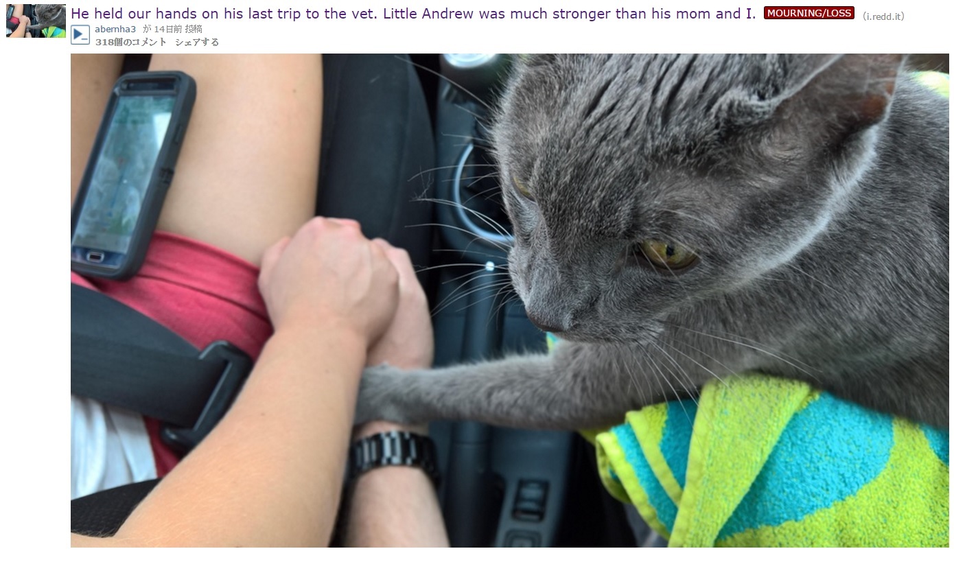 【海外発！Breaking News】死期を悟った猫　飼い主の手をつかみお別れの“握手”