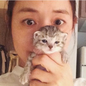 石田ゆり子が保護した子猫のめいちゃん（出典：https://www.instagram.com/yukaitaya）