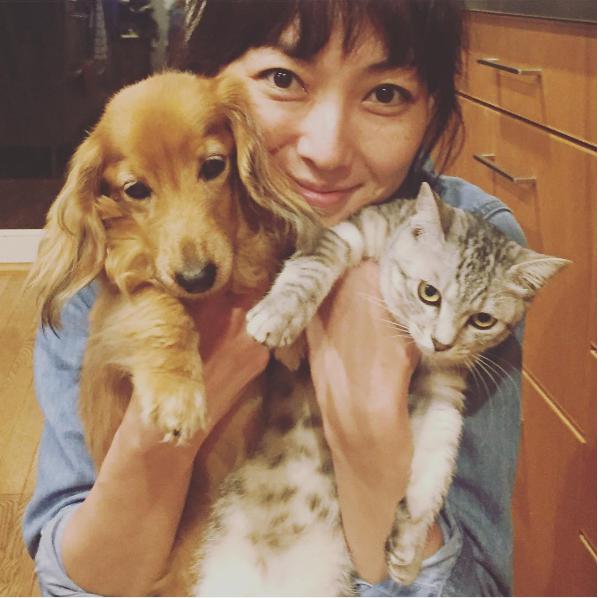 板谷由夏の愛犬と愛猫（出典：https://www.instagram.com/yukaitaya）