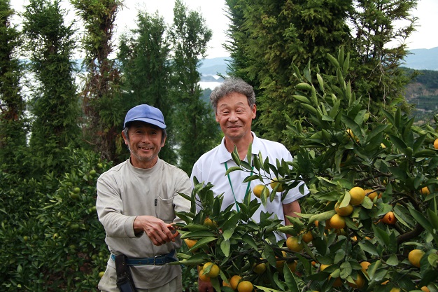 1.7ヘクタールのみかん畑で約1,500本の木を育てている須賀さん（左）と、営農指導歴30年、ご自身もみかん農家3代目の宇都宮さん
