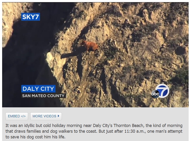 崖の途中に佇む犬（画像は『ABC7 News　2018年2月19日付「Man falls from cliff, dies while trying to rescue dog in Daly City」』のスクリーンショット）