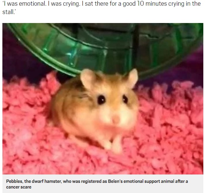 飼い主に無残にもトイレに流されたハムスター（画像は『Metro　2018年2月8日付「Woman told she can’t take emotional support hamster on flight flushes it down toilet」』のスクリーンショット）