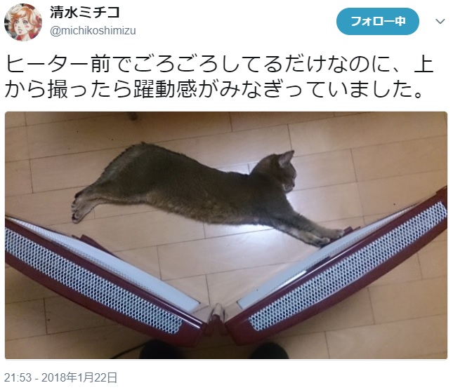 障害物を跳び越すような猫の風景（画像は『清水ミチコ　2018年1月22日付Twitter「ヒーター前でごろごろしてるだけなのに、上から撮ったら躍動感がみなぎっていました。」』のスクリーンショット）