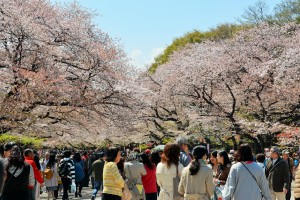 花見客で賑わう上野公園