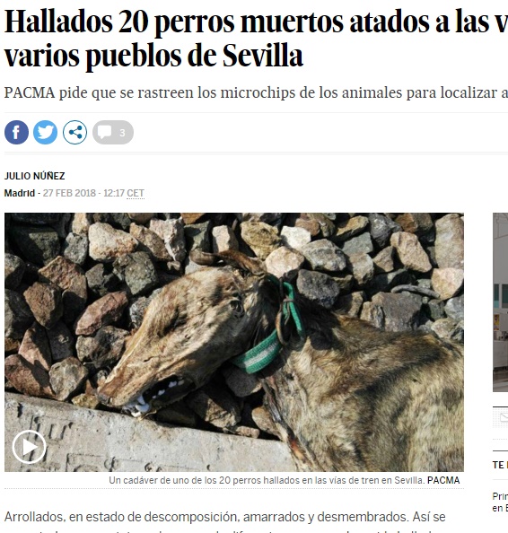 線路脇で死亡した犬（画像は『EL PAÍS　2018年2月27日付「Hallados 20 perros muertos atados a las vías del tren en varios pueblos de Sevilla」（PACMA）』のスクリーンショット）