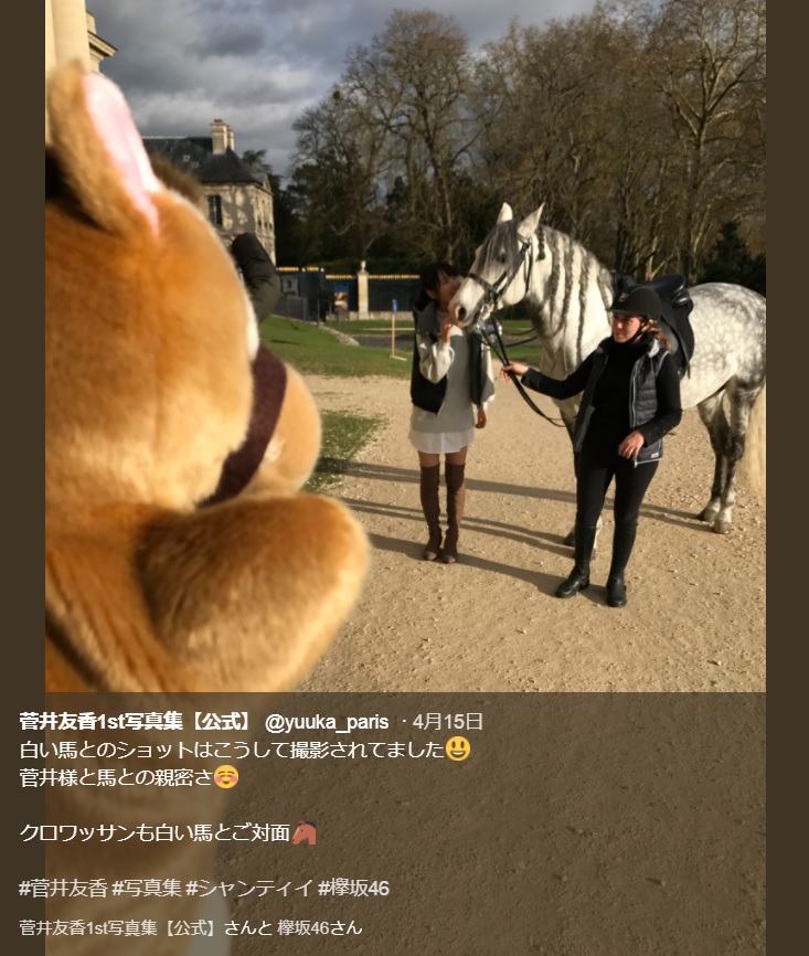 菅井友香、白馬と撮影した際のオフショット（画像は『菅井友香1st写真集【公式】　2018年4月15日付Twitter「白い馬とのショットはこうして撮影されてました」』のスクリーンショット）