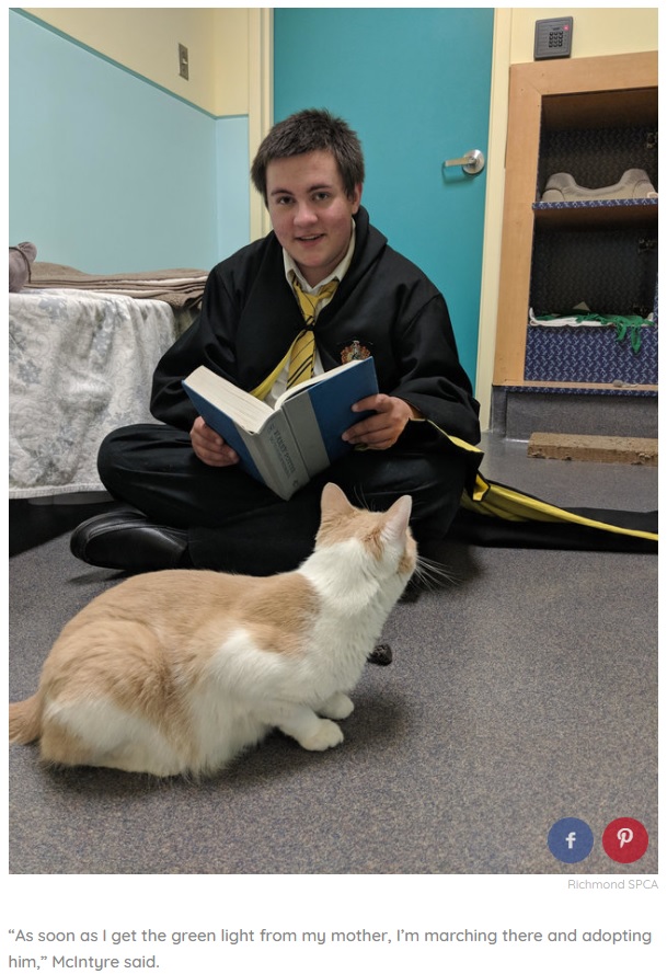 コスプレでハリー・ポッターの本をスティービーに読むプライスさん（画像は『The Dodo　2018年6月14日付「Teen Reads ‘Harry Potter’ To Blind Shelter Cat Every Day Until He Trusts Him」（Richmond SPCA）』のスクリーンショット）