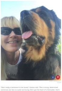 元気に回復を見せているスザンナとローリーさん（画像は『The Dodo　2018年6月21日付「Paralyzed Dog Abandoned At Dumpster Never Thought Anyone Would Find Her」（GGARR）』のスクリーンショット）