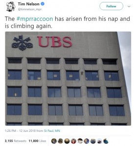 25階建てのビルを登るアライグマ（画像は『Tim Nelson　2018年6月12日付Twitter「The ＃mprraccoon has arisen from his nap and is climbing again.」』のスクリーンショット）