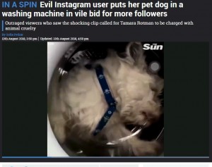 ドラム型洗濯機に閉じ込められた犬（画像は『The Sun　2018年8月13日付「IN A SPIN Evil Instagram user puts her pet dog in a washing machine in vile bid for more followers」』のスクリーンショット）