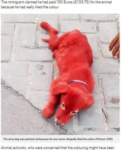 染髪剤で真っ赤に染められたスカーレット（画像は『Metro　2018年9月6日付「Dog dyed red rescued after it was ‘bought for ￡133 by man who liked the colour’」（Picture: CEN）』のスクリーンショット）