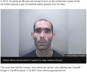 眼鏡フェチのレオン・シュテルバ（画像は『BBC News　2018年11月26日付「Sunglasses fetish attacker Leon Sterba jailed」（SOUTH WALES POLICE）』のスクリーンショット）