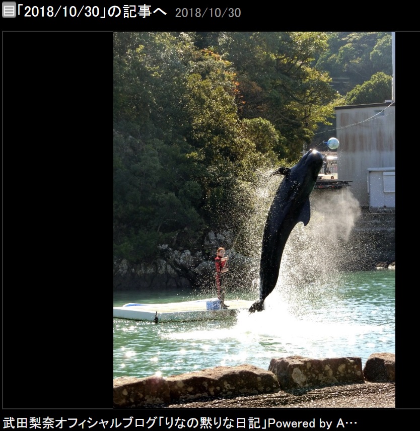 クジラのショーを行うシーン（画像は『武田梨奈　2018年10月30日付オフィシャルブログ「2018/10/30」』のスクリーンショット）
