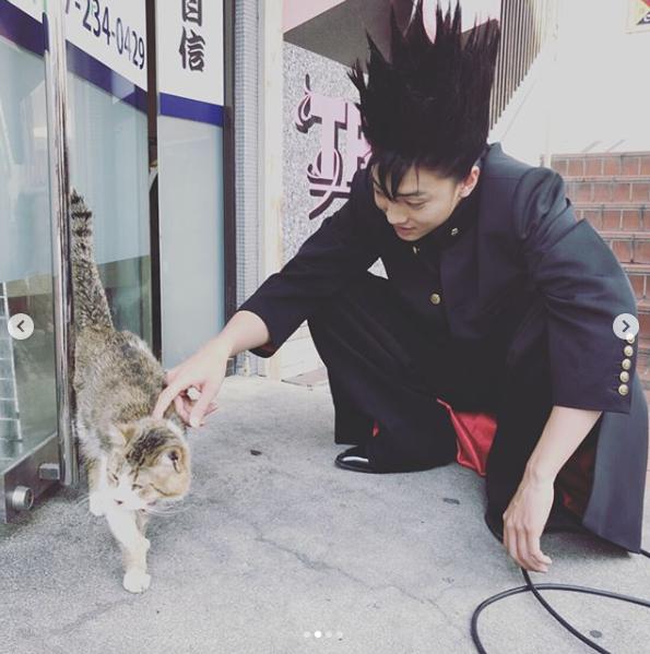 猫に触れる伊藤健太郎（画像は『【公式】今日から俺は!! 激写!!　2019年2月22日付Instagram「＃猫の日 ですってよ。」』のスクリーンショット）