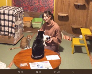 森保まどかになついてきた猫たち（画像は『森保まどか　2019年2月11日付Twitter「Yahoo!ライフマガジンさんの取材で保護猫カフェへ行ってきました」』のスクリーンショット）