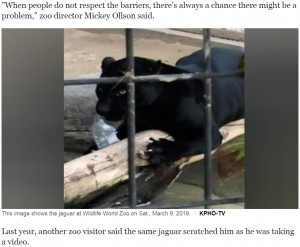 女性を襲った黒のジャガー（画像は『CBS News　2019年3月11日付「Woman clawed by jaguar at zoo says it was a “crazy accident”」（KPHO-TV）』のスクリーンショット）