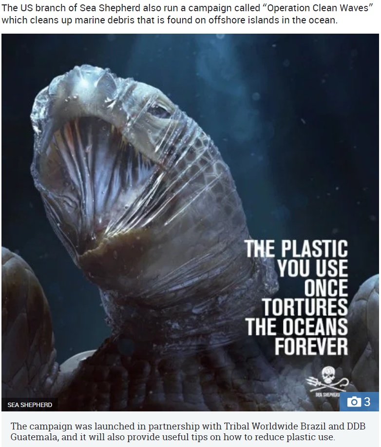 「ビニール袋を頭から被りもがく亀」の姿が3D写真に（画像は『The Sun　2019年3月20日付「PLASTIC HELL Horrifying images of ‘tortured’ seal and turtle wrapped in plastic highlight horror of world’s plastic waste crisis」（Credit: SEA SHEPHERD）』のスクリーンショット）