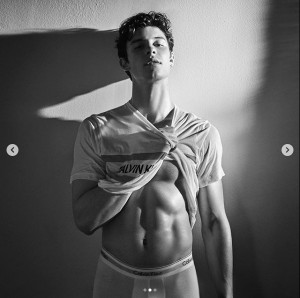 「Tシャツ脱ぐの、手伝ってあげる！」の声も（画像は『Shawn Mendes　2019年5月8日付Instagram「Thank you ＠calvinklein」』のスクリーンショット）